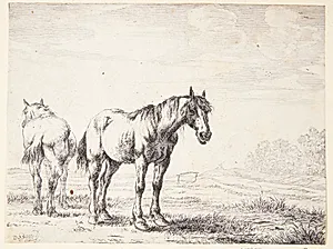 To pløjeheste, den ene set bagfra by Dirk Stoop