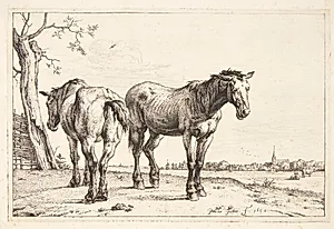 To pløjeheste by Paulus Potter