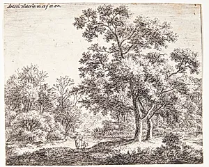 To rejsende i en skov by Anthonie Waterloo