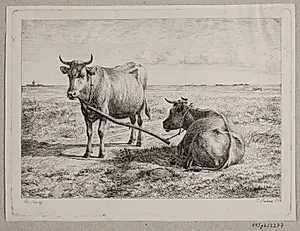 To sammenkoblede køer by Madsen, A.P.