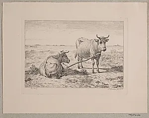 To sammenkoblede køer by Madsen, A.P.
