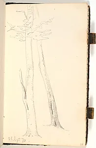 To slanke træer by P.C. Skovgaard