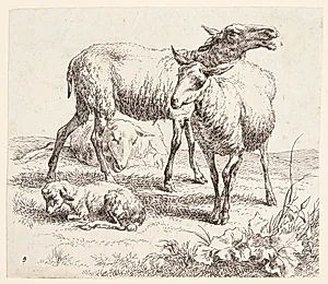 To stående får og et lam by Nicolaes Berchem