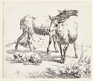 To stående får og et lam by Nicolaes Berchem