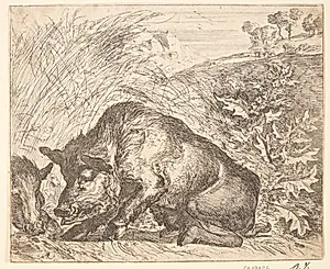 To vildsvin by Abraham Hondius