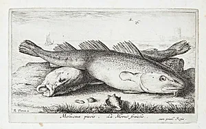 Torsk (Molucius Piscis) by Albert Flamen
