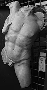 Torso af ung nøgen mand by Ubekendt