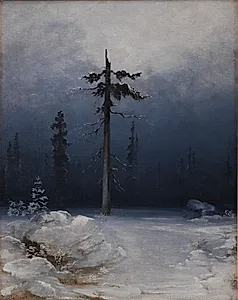 Træ i vinterskov