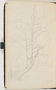 Træ med bøjet stamme by P.C. Skovgaard