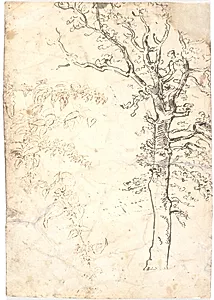 Træ og plantestudie by Dankvart Dreyer