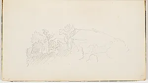 Træer og buske by P.C. Skovgaard