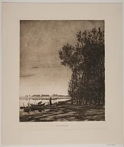 Træer ved en indsø by Andersen, Cilius