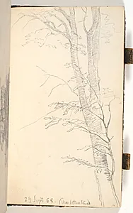 Træstamme med kviste og løv by P.C. Skovgaard