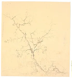 Træstudie by Wilhelm Bendz