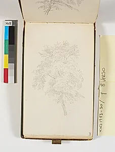 Træstudie by P.C. Skovgaard