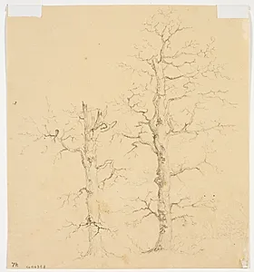 Træstudier by Wilhelm Bendz