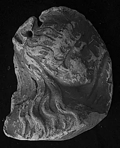 Trajan søjlen. Kvindehoved, højre profil by Ubekendt