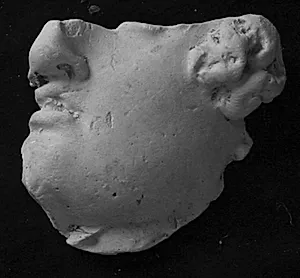 Trajan søjlen. Mandehoved, højre profil (fragment, underansigt) by Ubekendt