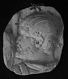 Trajan søjlen. Mandehoved, venstre profil by Ubekendt