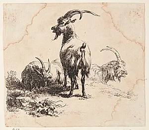 Tre geder by Nicolaes Berchem