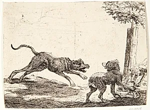 Tre hunde med et ådsel by Paulus van Hillegaert (II)