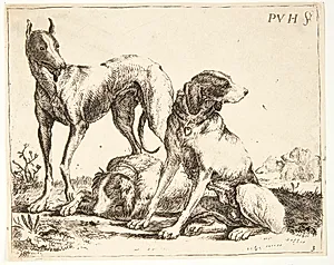 Tre hunde by Paulus van Hillegaert (II)
