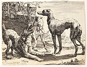 Tre hunde by Paulus van Hillegaert (II)