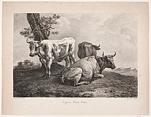 Tre køer