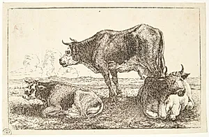 Tre køer