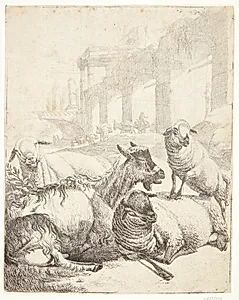 Tre liggende får og et lam by Johann Heinrich Roos