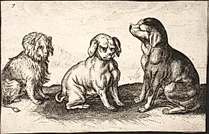 Tre små hunde by Ubekendt