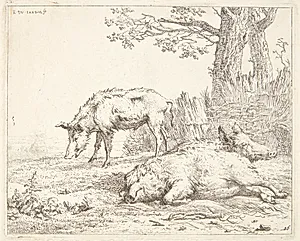 Tre svin nær en hæk by Karel Du Jardin