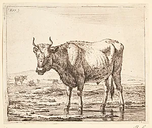 Tyr stående i vand by Adriaen van de Velde