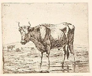 Tyr stående i vand by Adriaen van de Velde