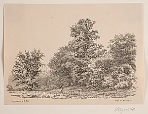 Udkant af en skov by Vilhelm Kyhn