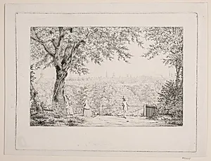 Udsigt fra Frederiksberg bakke