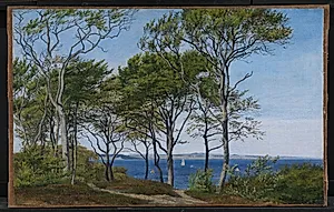 Udsigt mellem bøgestammer over en fjord by P.C. Skovgaard