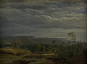 Udsigt over et skovrigt jysk landskab