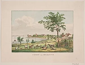 Udsigt ved Bellevue