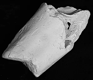 Underarm, fragment. Uidentificeret, jvf. Aristogeiton (KAS10) by Ubekendt