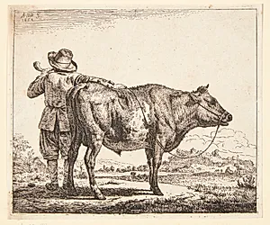Ung hyrde med en tyr by Adriaen van de Velde