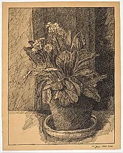 Urtepotte med primula by Christian Kongstad Petersen