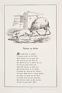 Vædderen og Grisen. Illustration til H.V. Kaalund, "Fabler for Børn" by H.P. Hansen