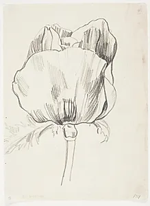 Valmue by J.A. Jerichau (II)