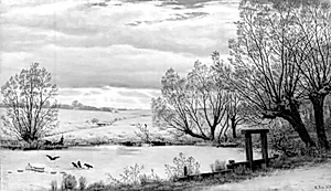 Ved en mølledam. Vinter