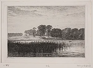 Ved Vesterborg sø by C.A. Kølle