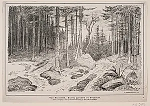 Ved vintertid. Hulvej gennem en granskov by Lauritz Larsen