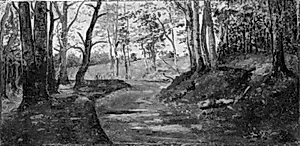 Vej gennem en skov by Dankvart Dreyer