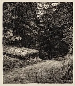 Vejen i Granskoven by Carl Bloch