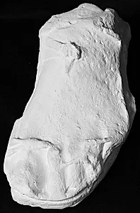 Venstre fod med sandal fra fodpar, fra mandsstatue by Ubekendt